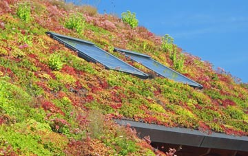 Cruwys Morchard living roof systems